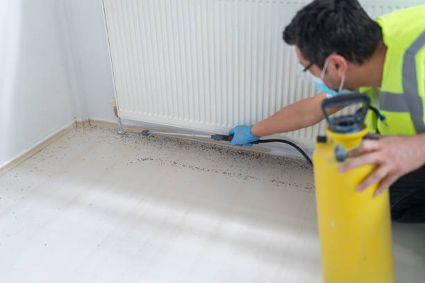 Best Flea Control Services  in New Albany, IN