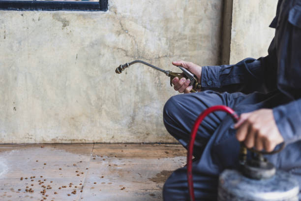 Best Pest Removal Services  in New Albany, IN