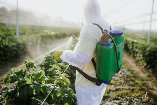 Reliable New Albany, IN Pest Control Solutions
